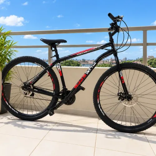BICICLETA ARO 29