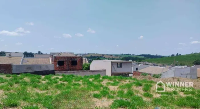 Terreno à venda, 300 m² por R$ 250.000,00 - Chácaras de Lazer Morro do Cipó - Mandaguaçu/P