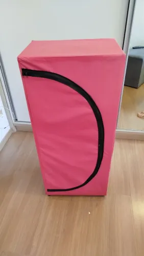 Sapateira