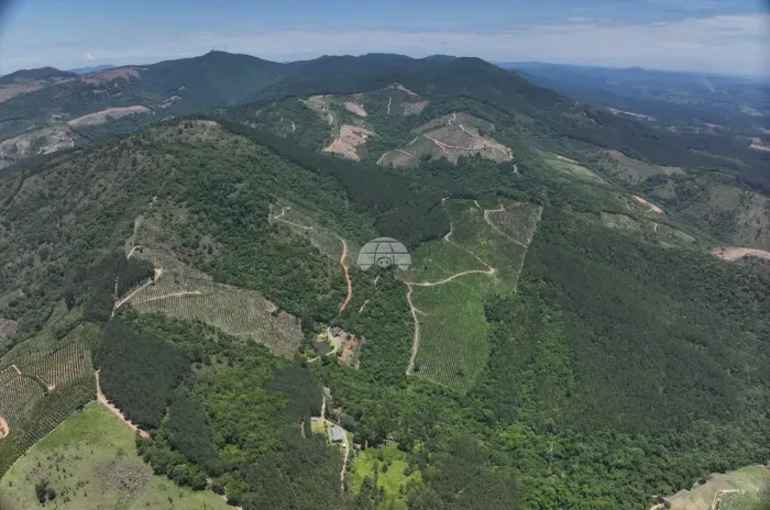 Imóvel para venda com 150000 metros quadrados em Sao Sebastiao - Cerro Azul - PR