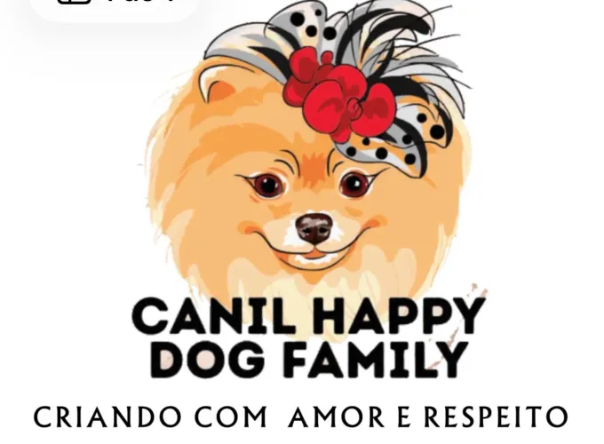 Lulu da pomerania Anão