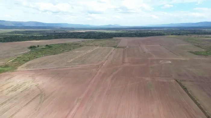 Fazenda arrendamento 1.300 hec em Jangada MT. 