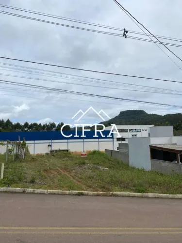 Terreno Urbano - Venda - 350m2 - Rua Mário Alegri - Loteamento Novo Horizonte - Taboão - R