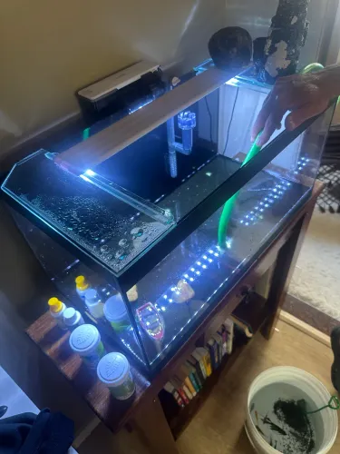 Aquário 55L Completo