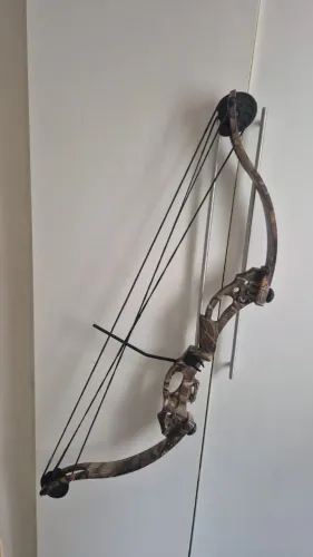 Arco composto 
