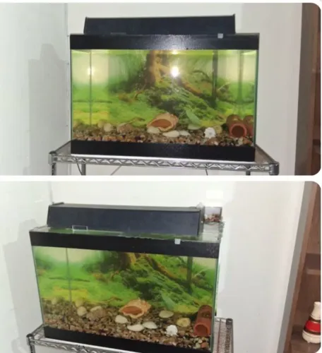 Vendo aquario 80 litros completo 