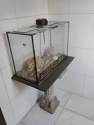 Aquário 