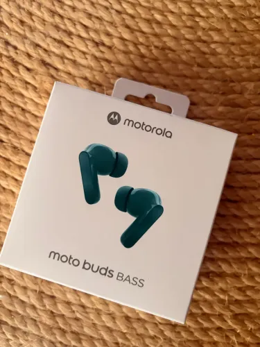 Moto BUD BASS verde
