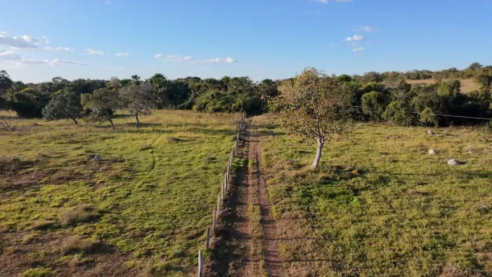 Fazenda Diamante em Sandolândia-To