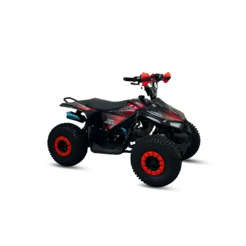 Quadriciclo Iron 110 2026 (0KM Pronta Entrega) Em até 12x sem juros no cartão