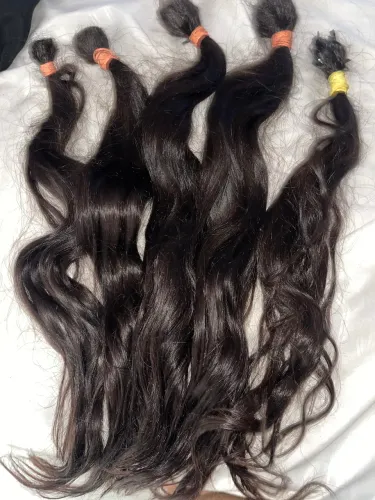 Brasileiro do Sul - Brasileiro do Sul 50cm 240g ( Cabeça completa) 
