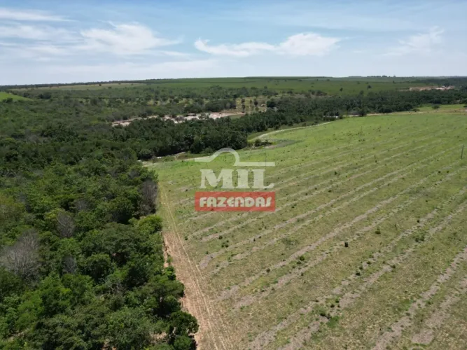 Fazenda 10 Alqueires (484 Hectares) Paraúna - GO