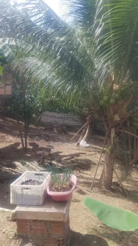 Vendo casa