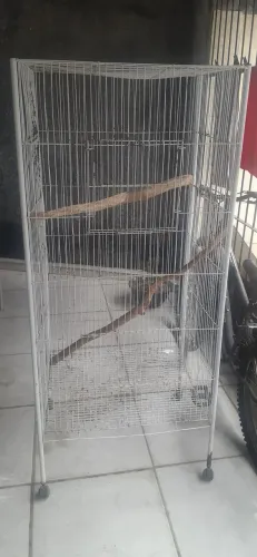 Gaiola de papagaio