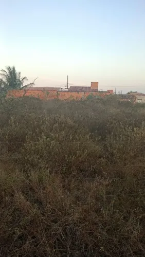 Terreno