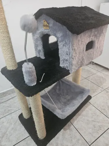 Cada de gato