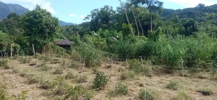Chácara no Quiriri de baixo com terreno de  5.000m2 a 50 metros do rio .