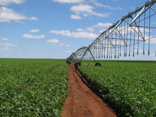 350.000.000                Fazenda em Ipameri Go 417 Alq com 305 em lavoura
