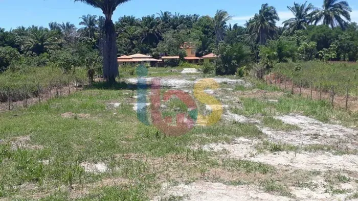 VENDO TERRENO BEIRA DA PISTA