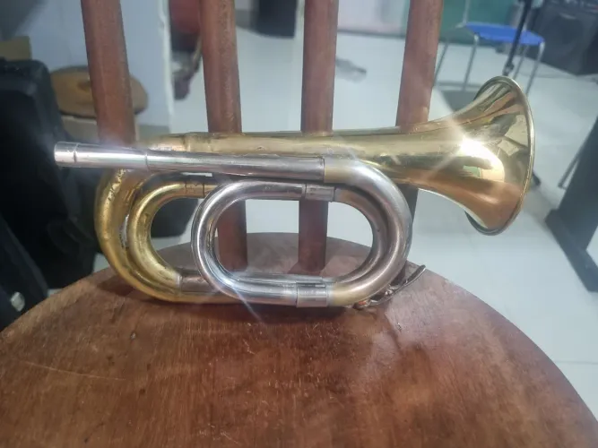 Corneta curta Sib Weril campanha de Poket Weril