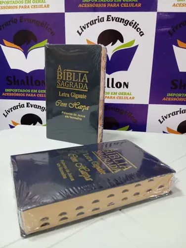 Bíblia Sagrada Com Harpa Cristã