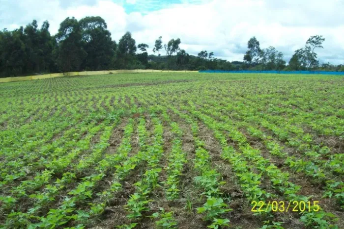 Excelente área para sítio zona rural Amparo - SP