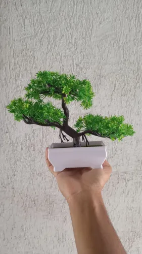 Árvore bonsai Verde