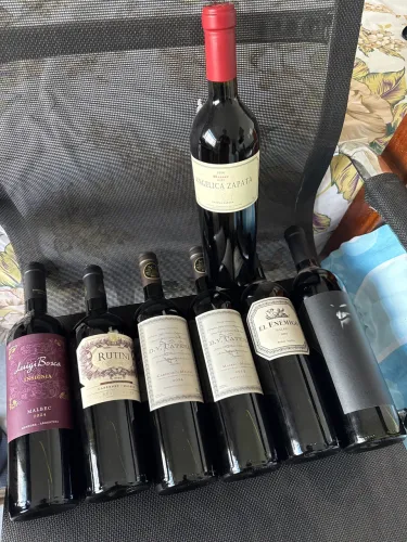 Vinhos Argentinos