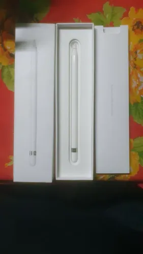Apple Pencil (1ª Geração) - Não fiz testes e por isso acho que não está funcionando.