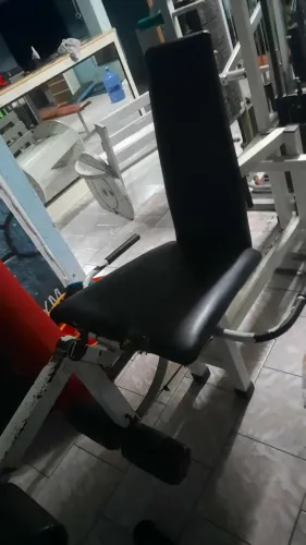 CADEIRA FLEXORA E EXTENSORA PROFICIONAL