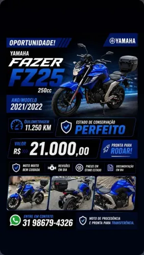 FAZER Fz 250