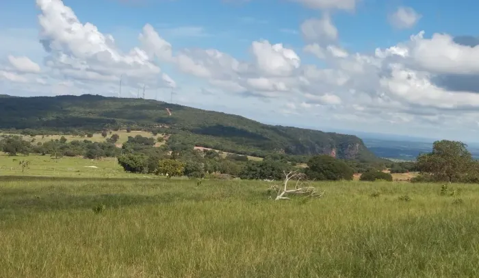 COD.581 - Fazenda 407 ha com 9.000 pés de Laranja Produzindo | MS