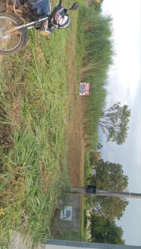Lote Jardim Ipês 