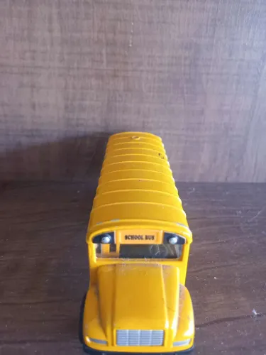 Onibus School Bus