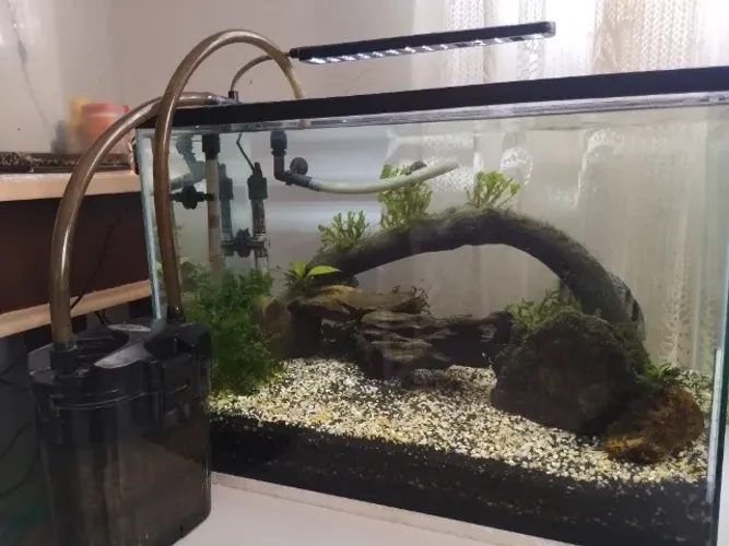 Aquário de 60L!