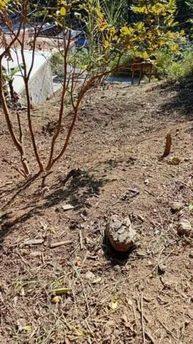 Terreno à venda, 258 m² por R$ 196.000 - Jardim Cruzeiro - Itapevi/SP