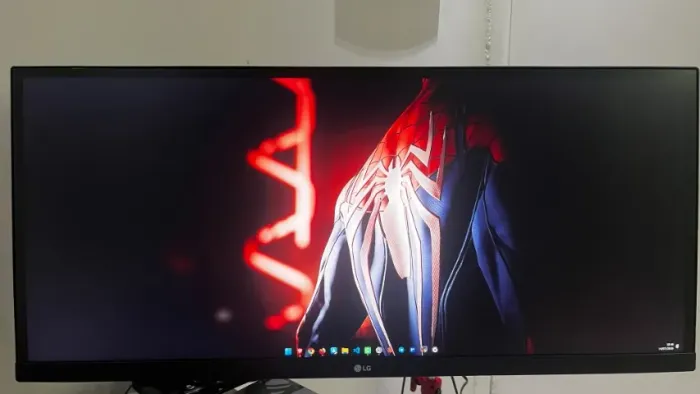 Monitor LG UltraWide 29 ? + Braço Articulado