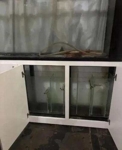 AQUÁRIO MARINHO 