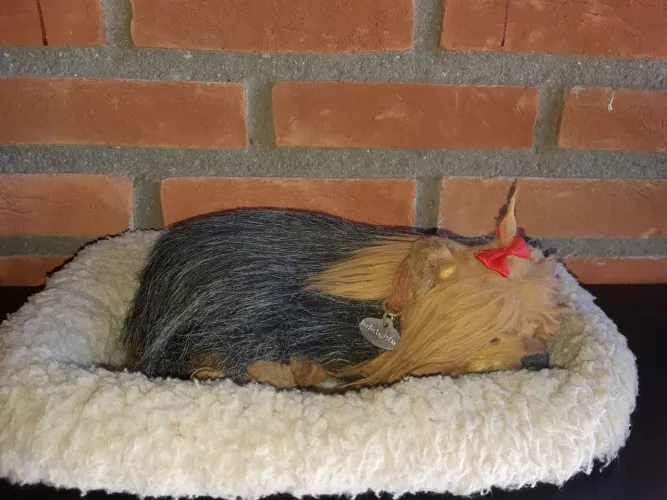 Perfect petzzz yorkishire pelúcia que respira