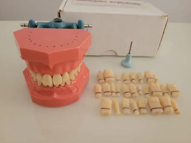 Manequim P- Oclusal de dentística