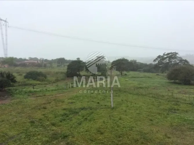 Chácara com 5 Hectares à venda em Gravatá-PE!