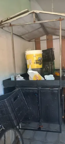 Carrinho de vender frutas ou o que desejar