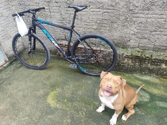 Vendo ou troco (Bike )