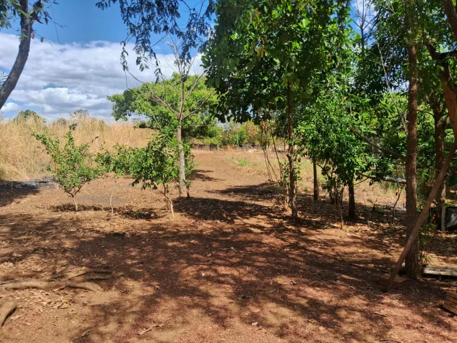 Chacara no coqueirinho