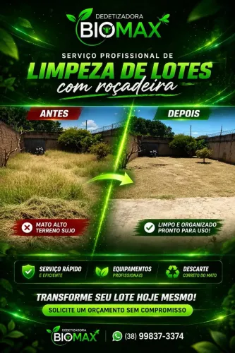 Roçagem de lote limpeza
