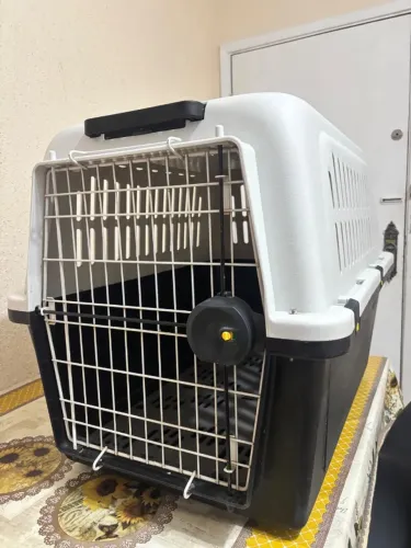Caixa transportadora Pet -50 -30k