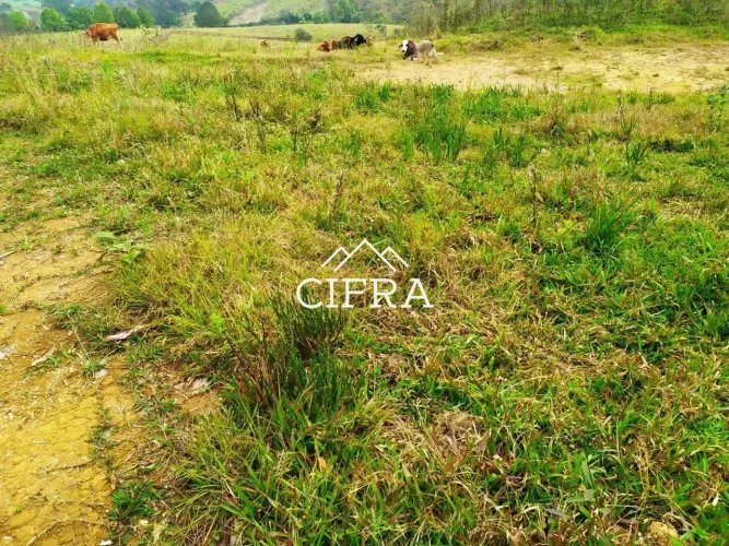 Terreno Rural - Sítio - Venda - 3,4 hectares - 34000m2 - Investimento - Ribeirão do Tigre 