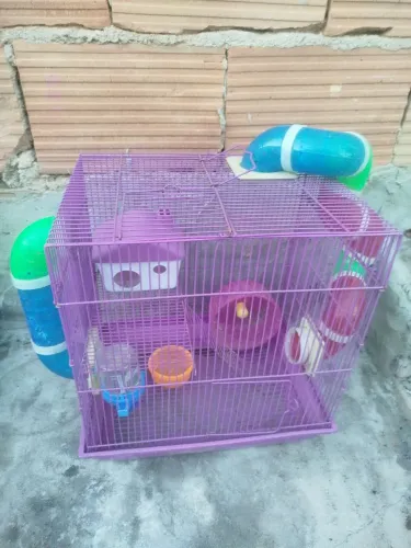 Vendo gaiola de ramister