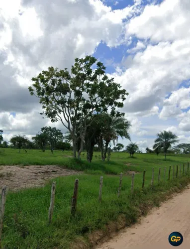 Terreno Exclusivo 200m² bairro Novo Horizonte, São José - Loteamento Recanto Feliz Feira d