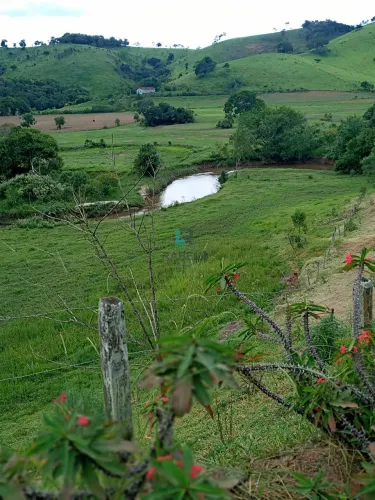 CHÁCARA FORMADA COM RIO NOS FUNDOS Á VENDA EM SILVEIRAS-SP